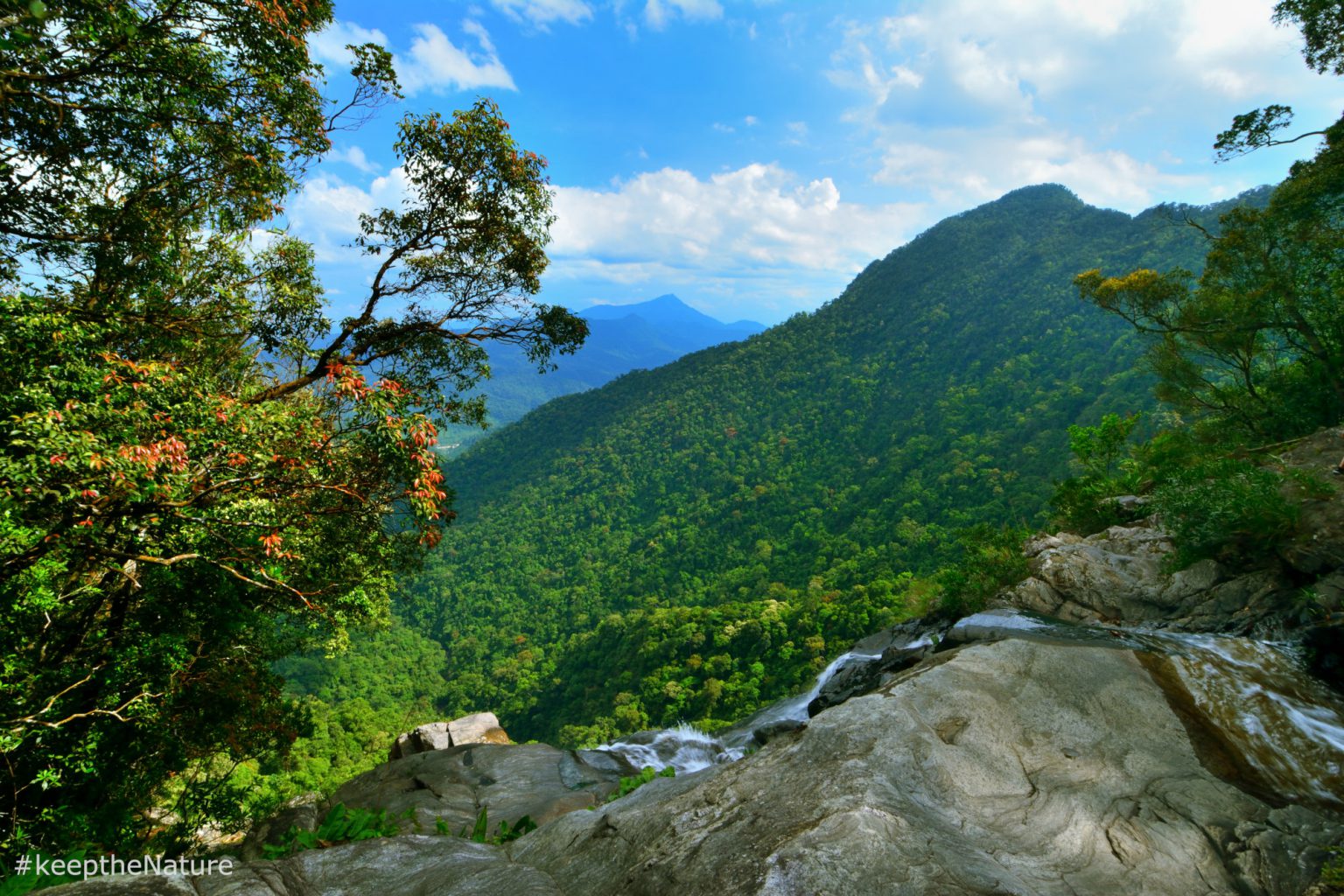 Photo: Bach Ma National Park - Keep The Nature