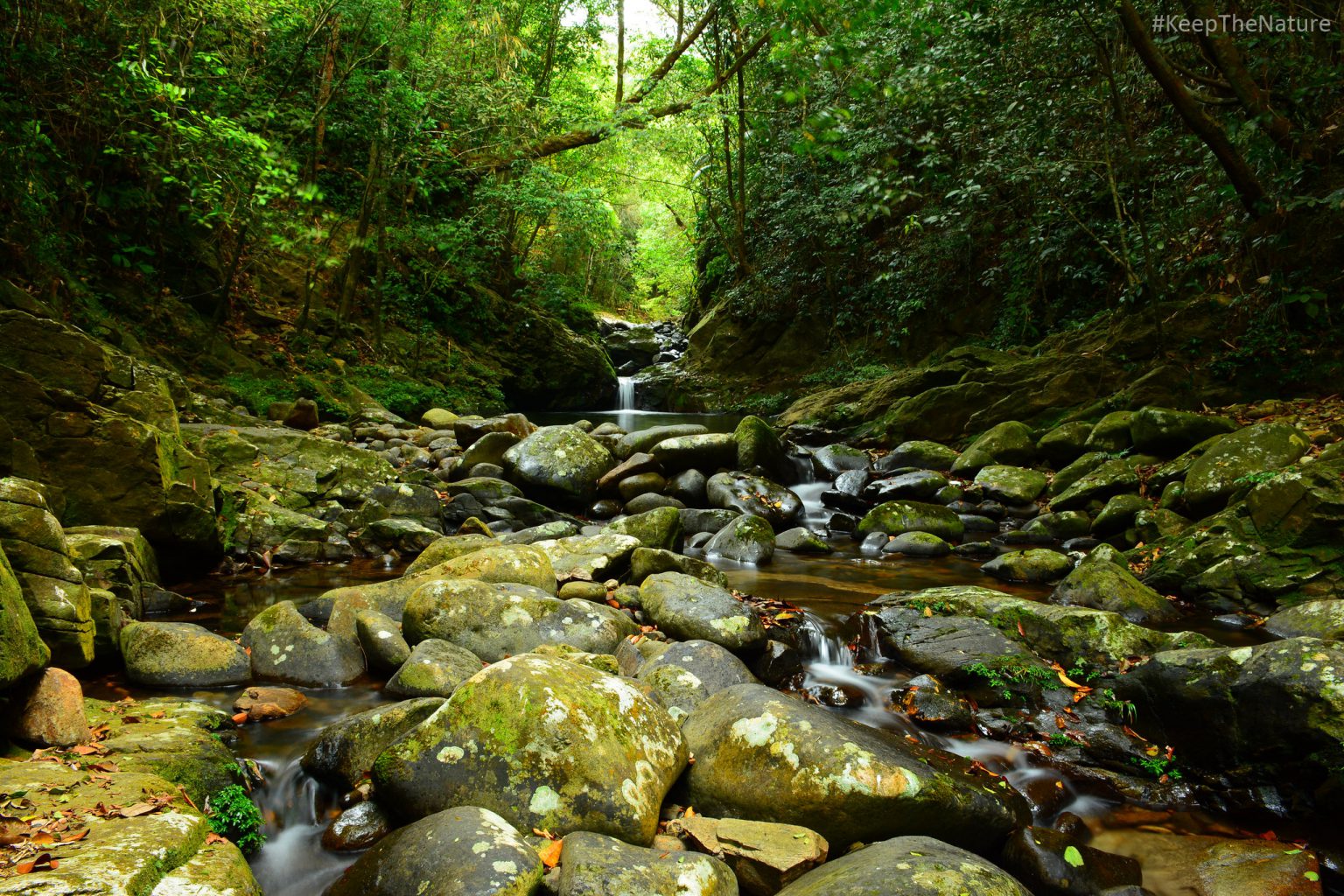 Photo: Bach Ma National Park - Keep The Nature